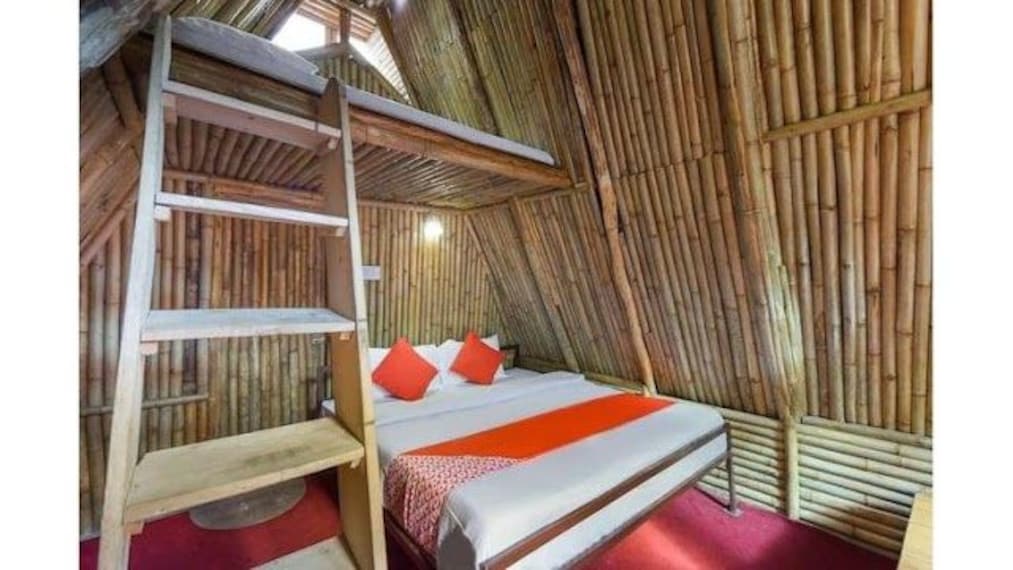 Himalayan Mountaineer-1